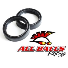 All Balls 55-131 сальники 48X58X9.5